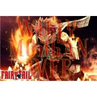 Fairy Tail 8